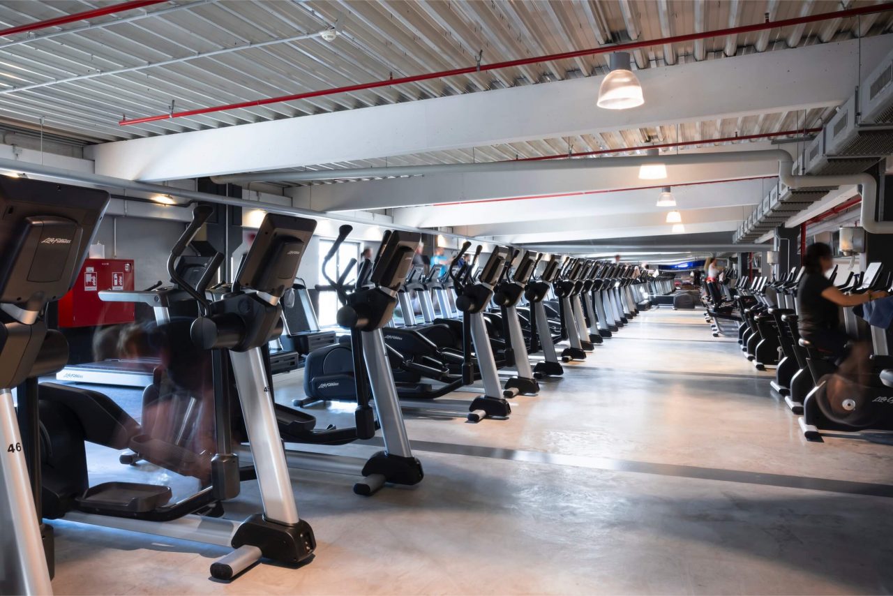 Benefit Hamburg Eidelstedt Seuss 7