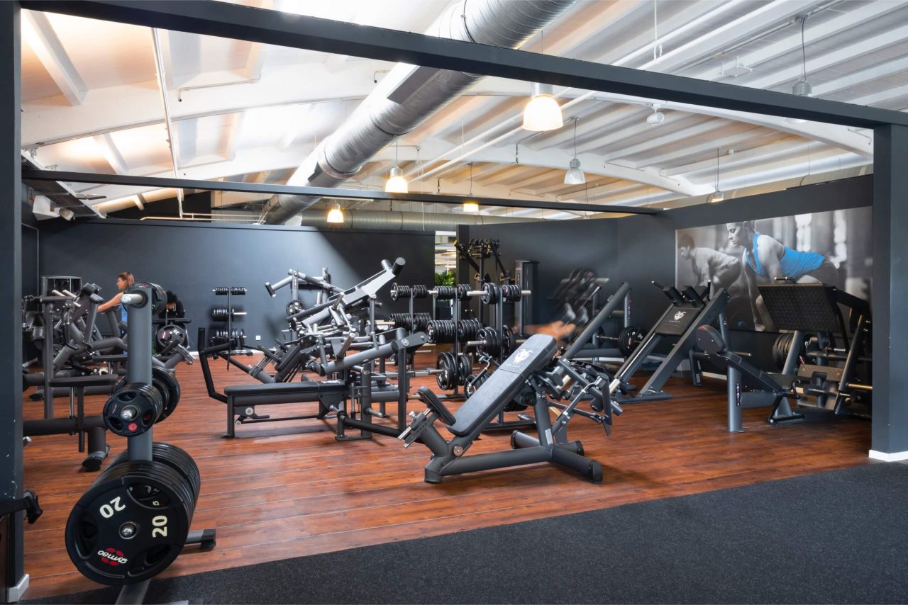 Benefit Hannover Empelde Seuss 17