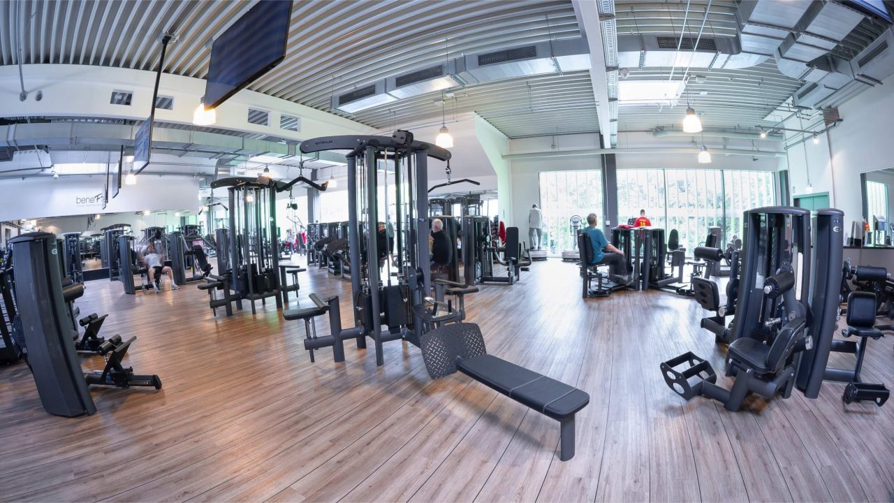 Benefit Muenster Sued Seuss 12