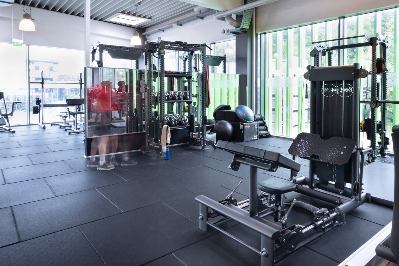 Benefit Muenster Sued Seuss 13