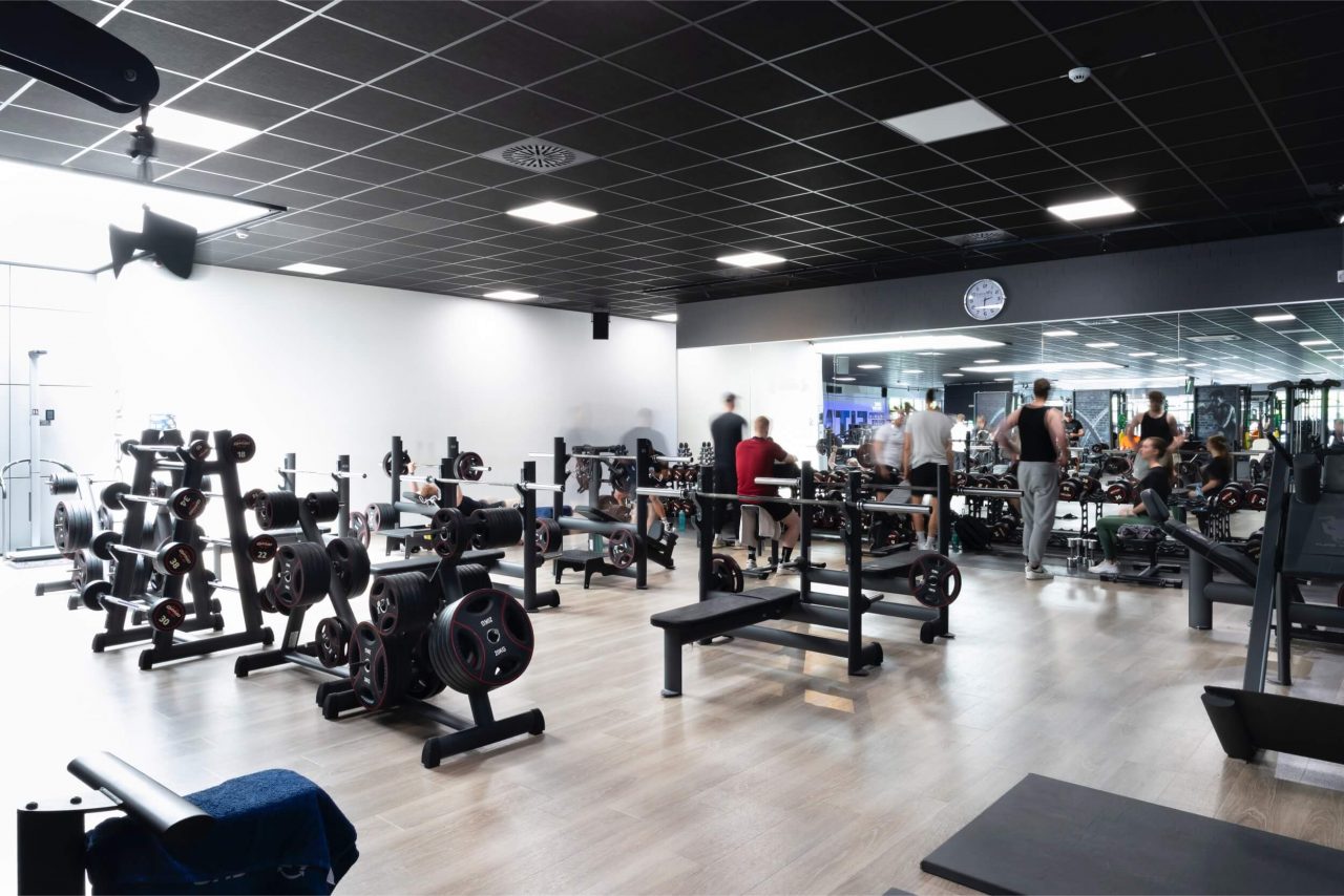 Benefit Oldenburg Wechloy Seuss 13