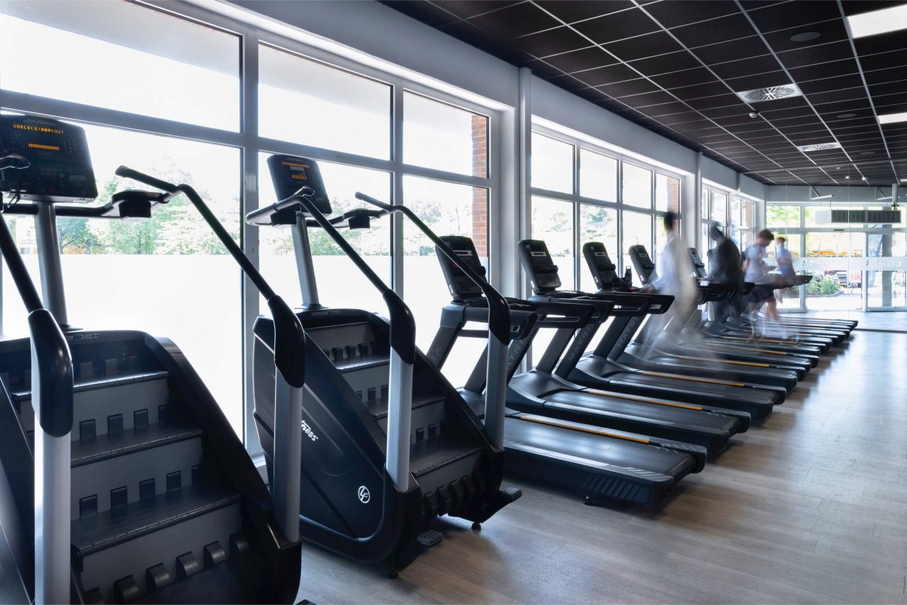 Benefit Oldenburg Wechloy Seuss 6