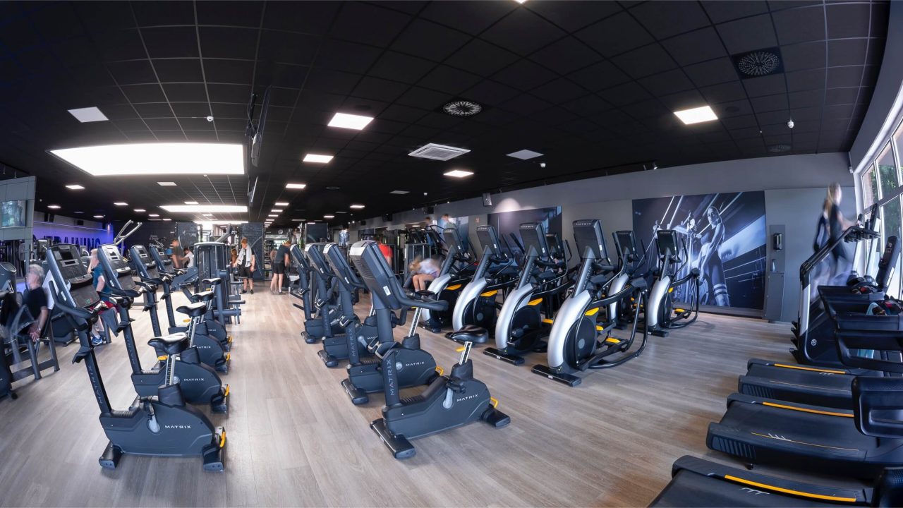 Benefit Oldenburg Wechloy Seuss 7