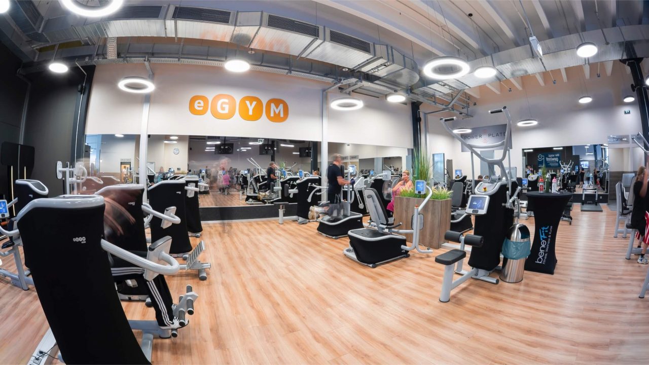 Benefit Osnabrueck Fledder Seuss 11