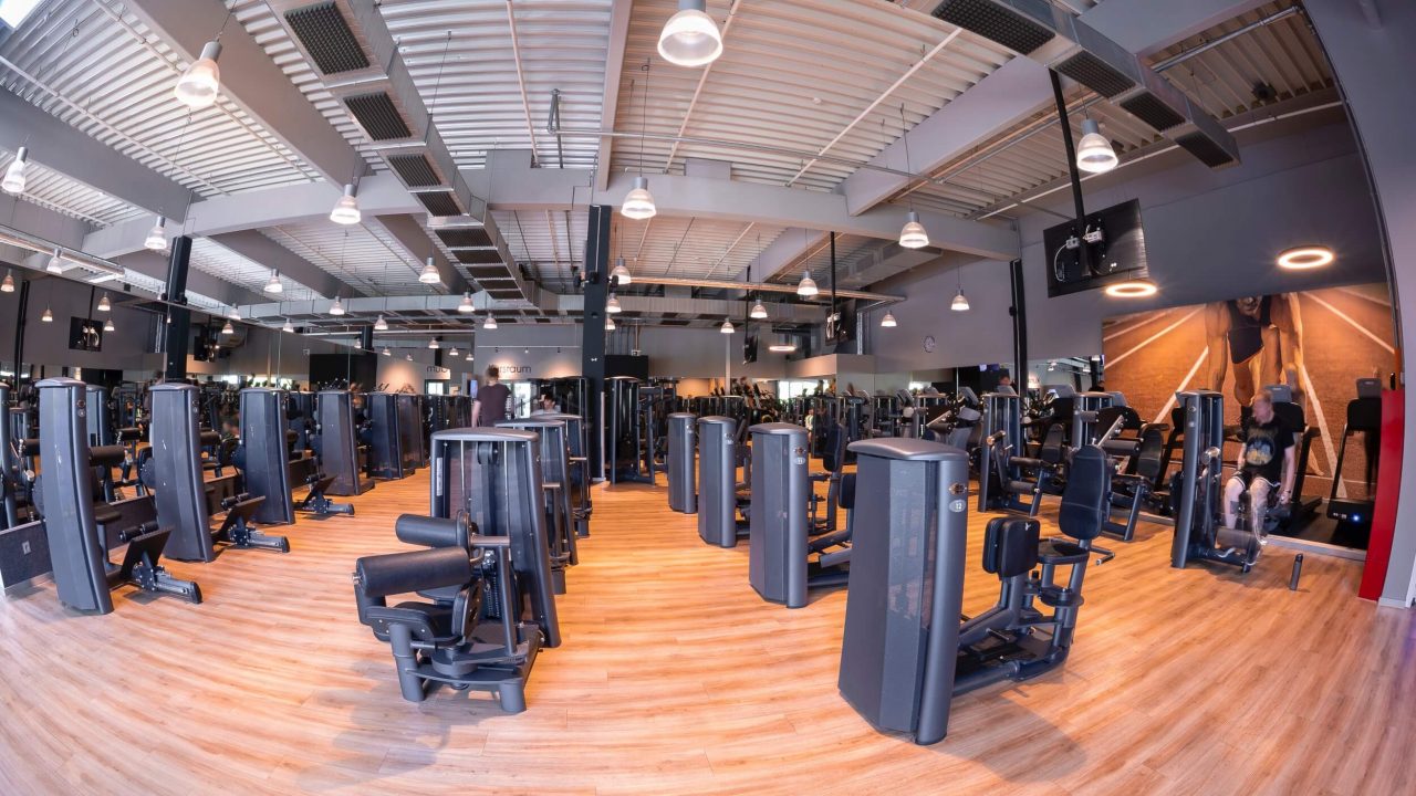 Benefit Osnabrueck Fledder Seuss 15