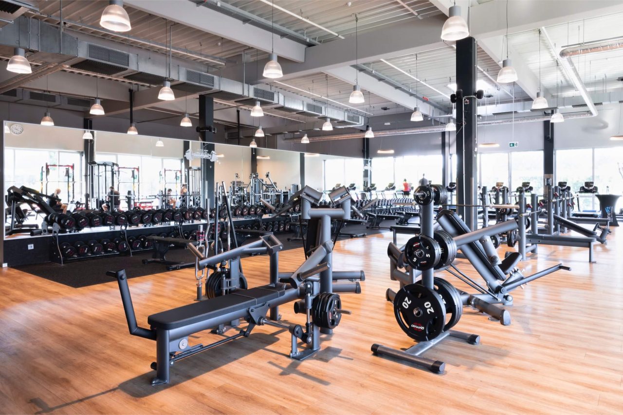 Benefit Osnabrueck Fledder Seuss 20