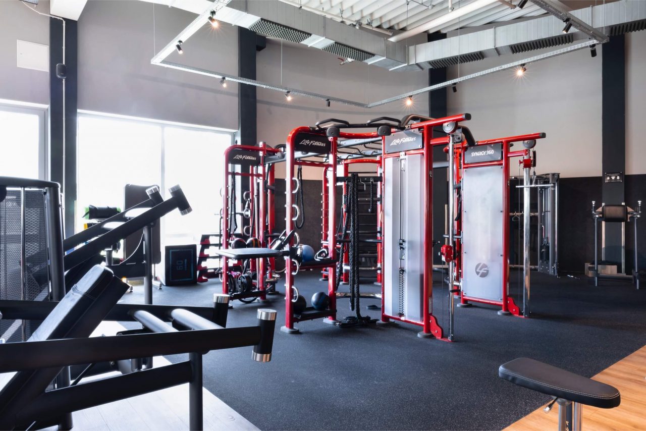 Benefit Osnabrueck Fledder Seuss 21