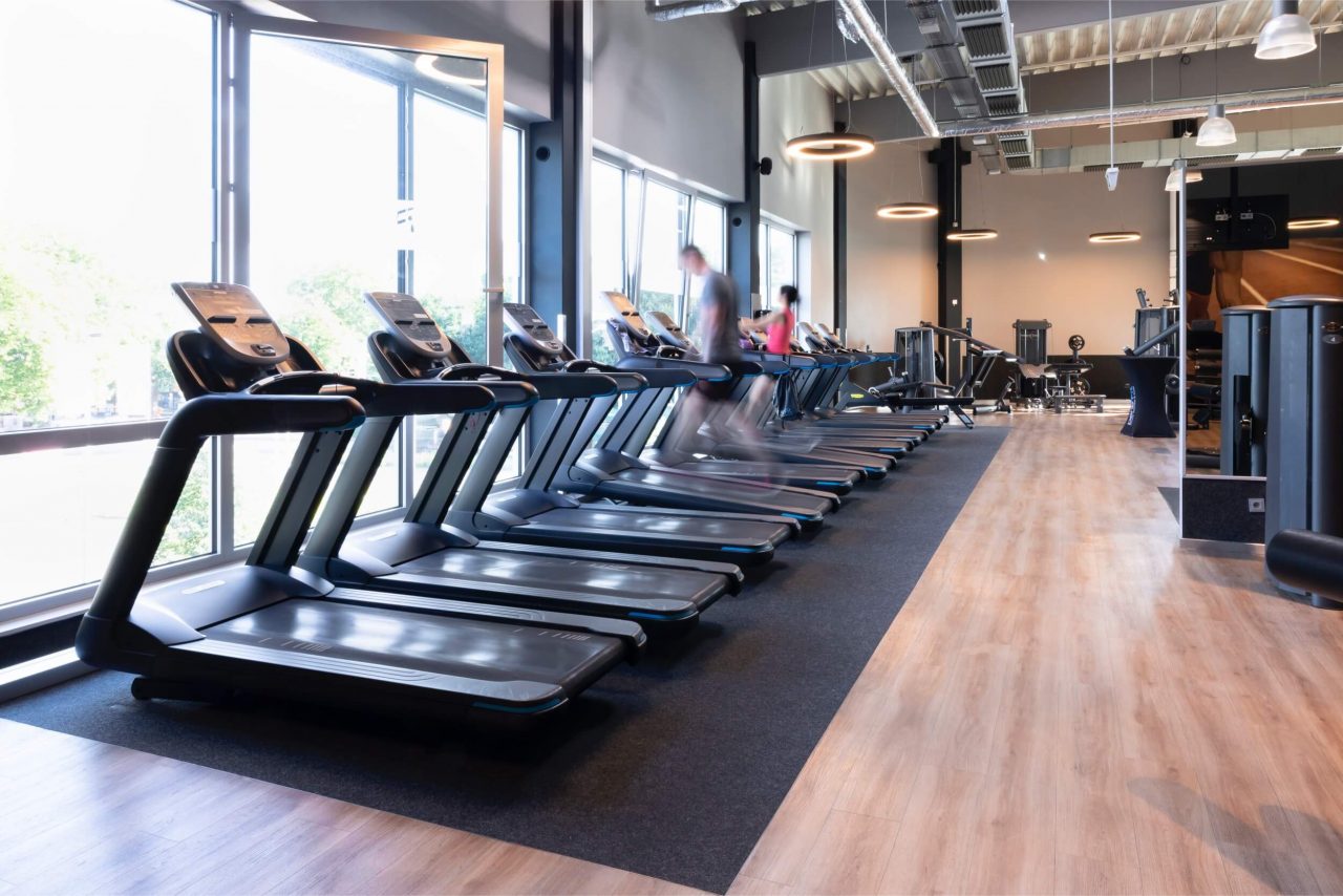 Benefit Osnabrueck Fledder Seuss 6