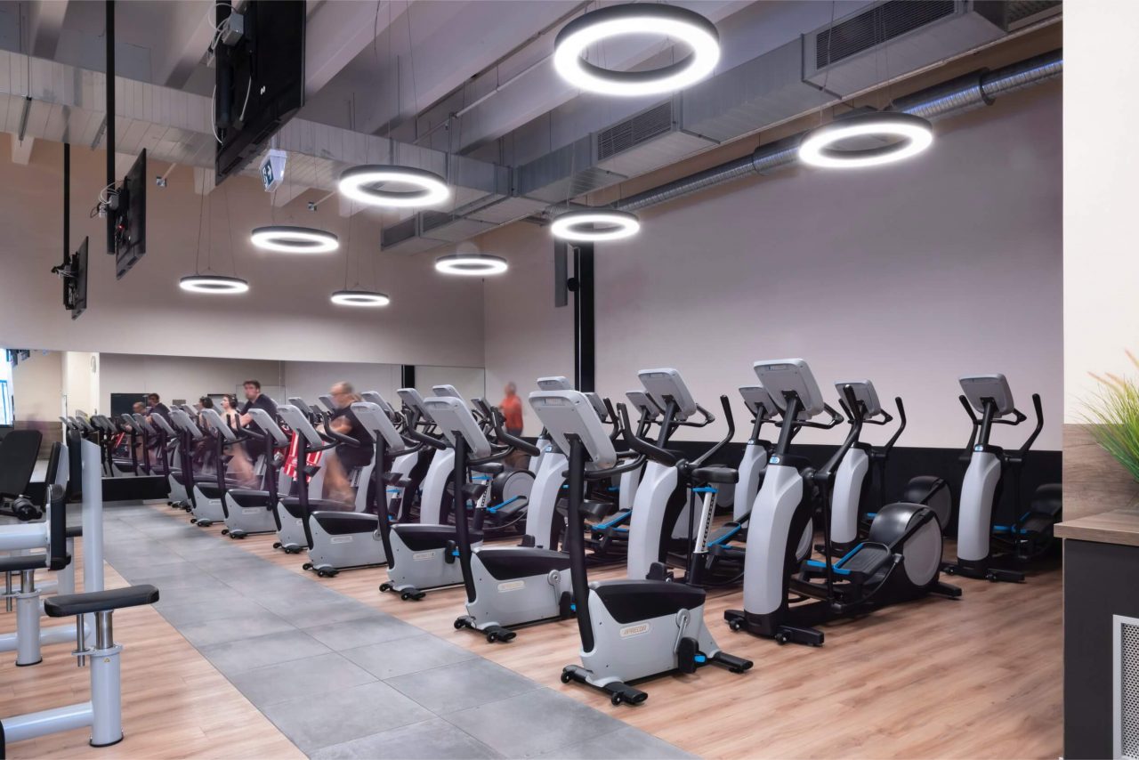 Benefit Osnabrueck Fledder Seuss 7