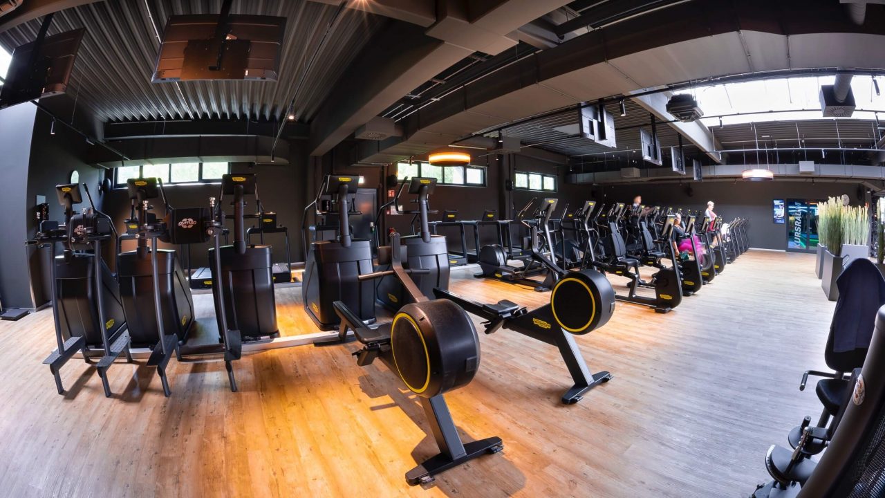 Benefit Magdeburg Seuss 8