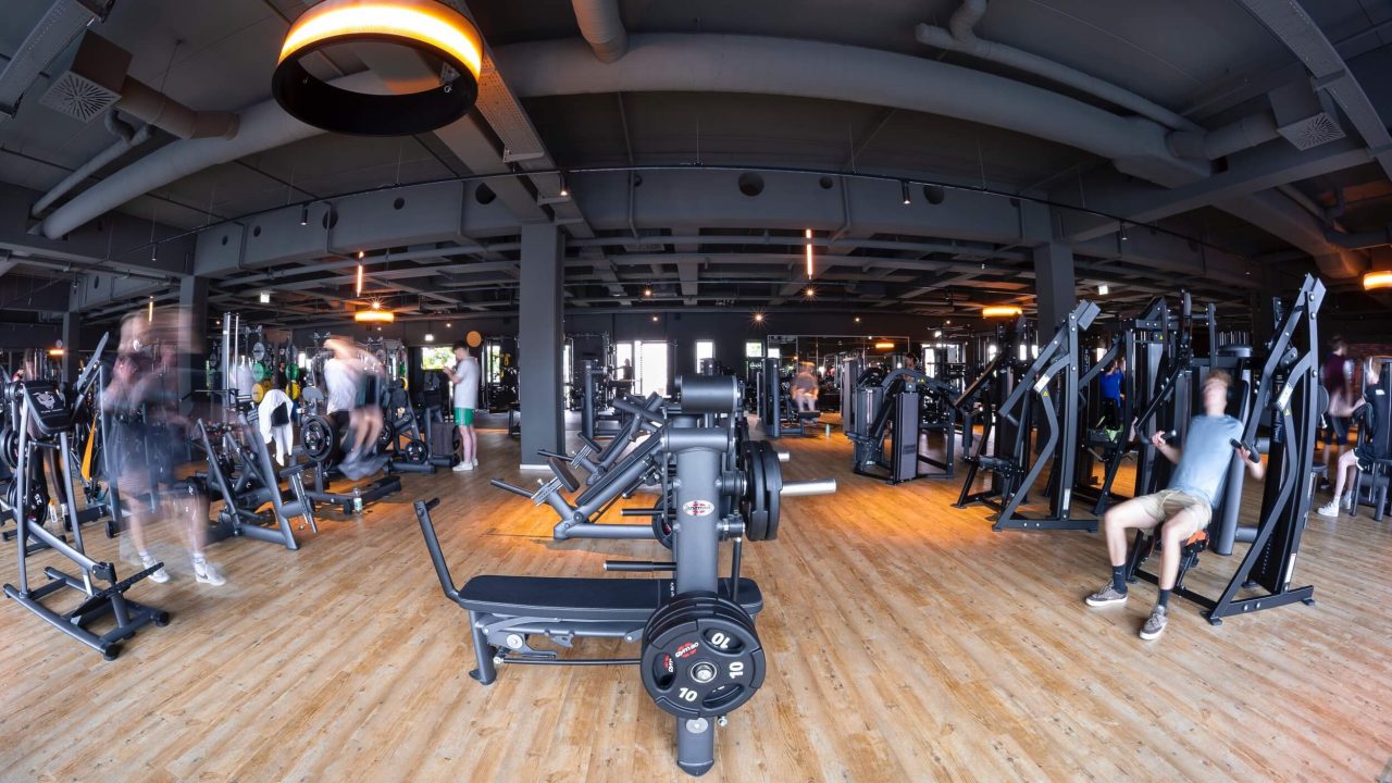 Benefit Muenster York Center Seuss 15