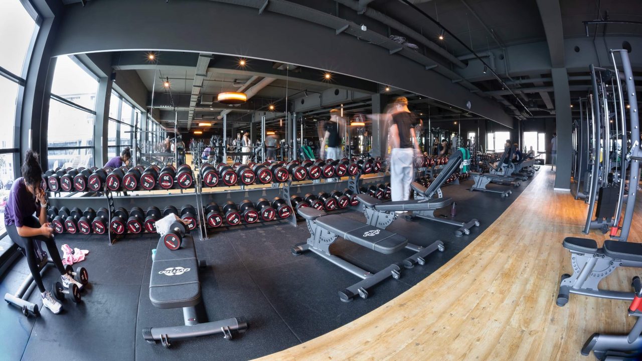 Benefit Muenster York Center Seuss 19