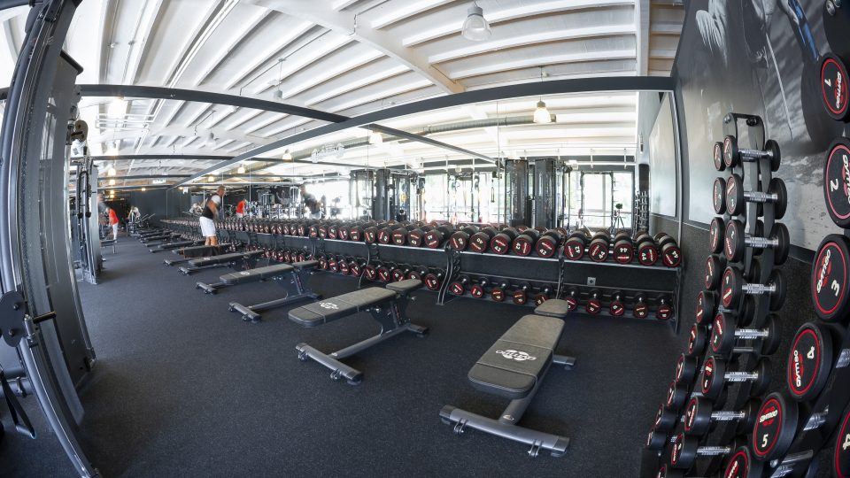 beneFit_Fitness_Wellness_Fitnesskurse_Fitnessstudio_Hannover_Empelde_Freihantel